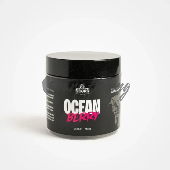 Разтворима Паста Nburn OCEAN BERRY - 250гр.